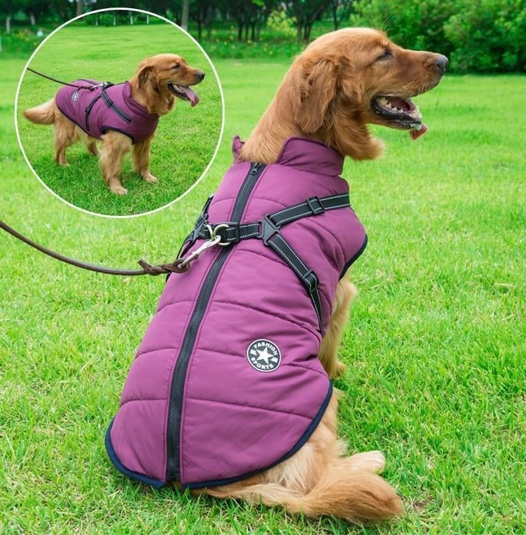 🎅Waterproof Winter Dog Jacket with Built-in Harness